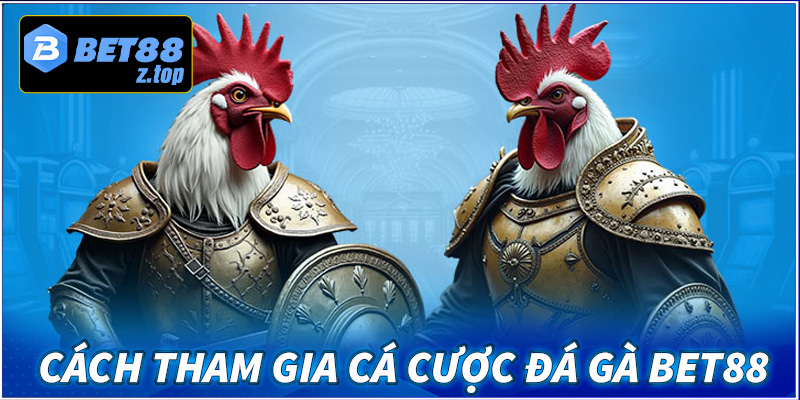 Cách tham gia cược tại sân chơi đá gà bet88